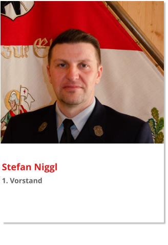 Stefan Niggl 1. Vorstand